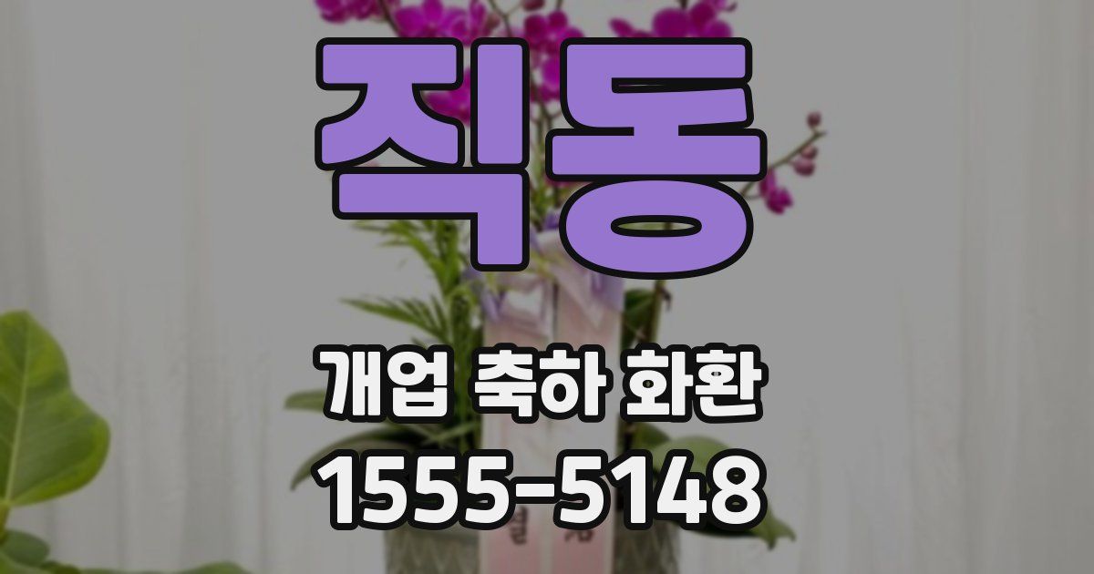 직동 개업 축하 화환