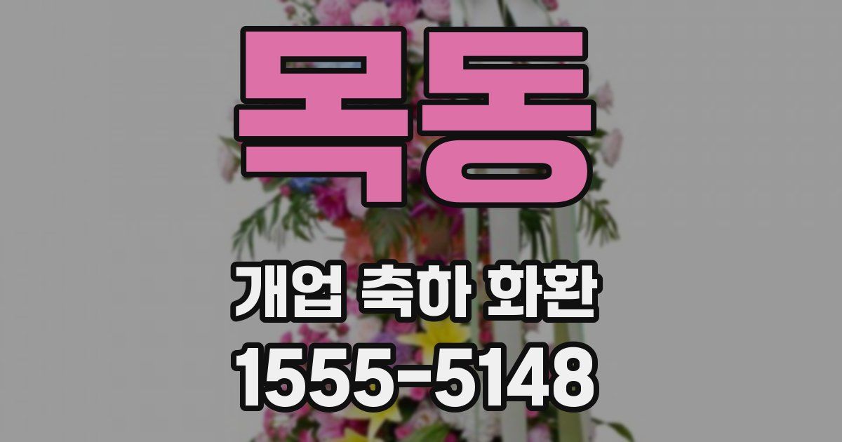 목동 개업 축하 화환