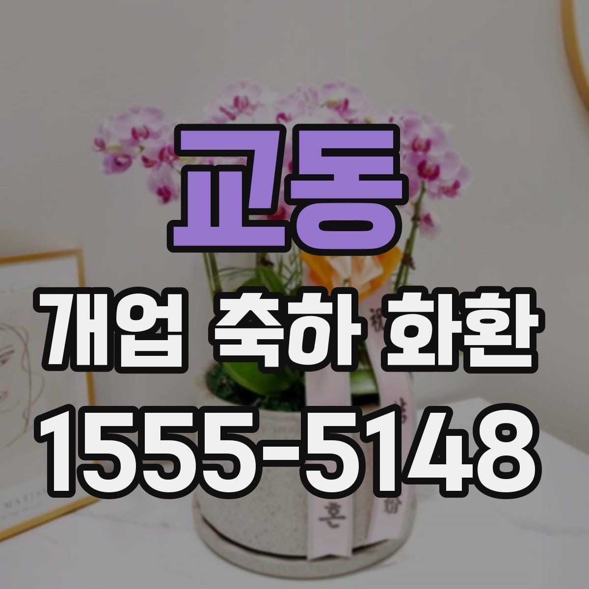 교동 개업 축하 화환