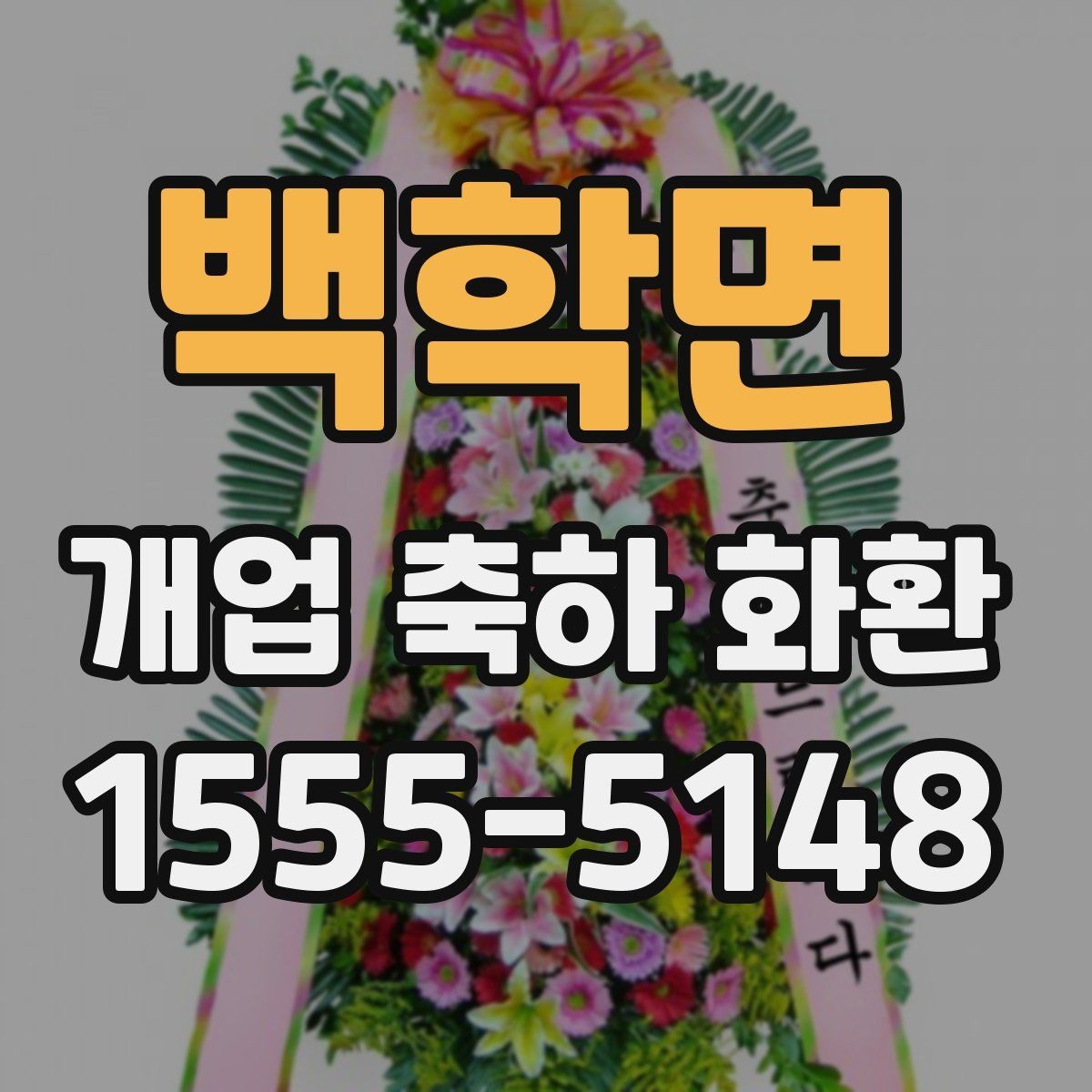 백학면 개업 축하 화환 매장 인테리어와 어울리게 고르기