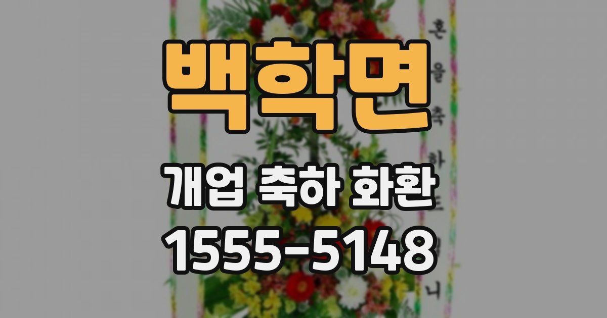 백학면 개업 축하 화환