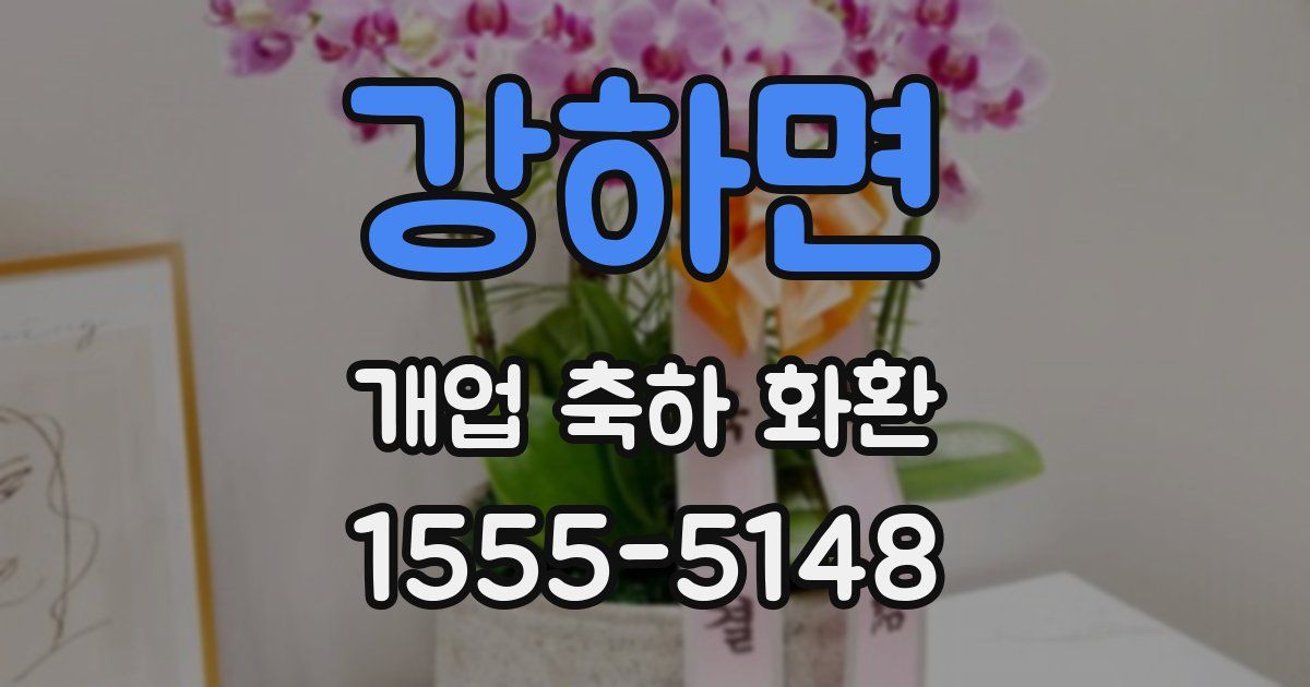 강하면 개업 축하 화환