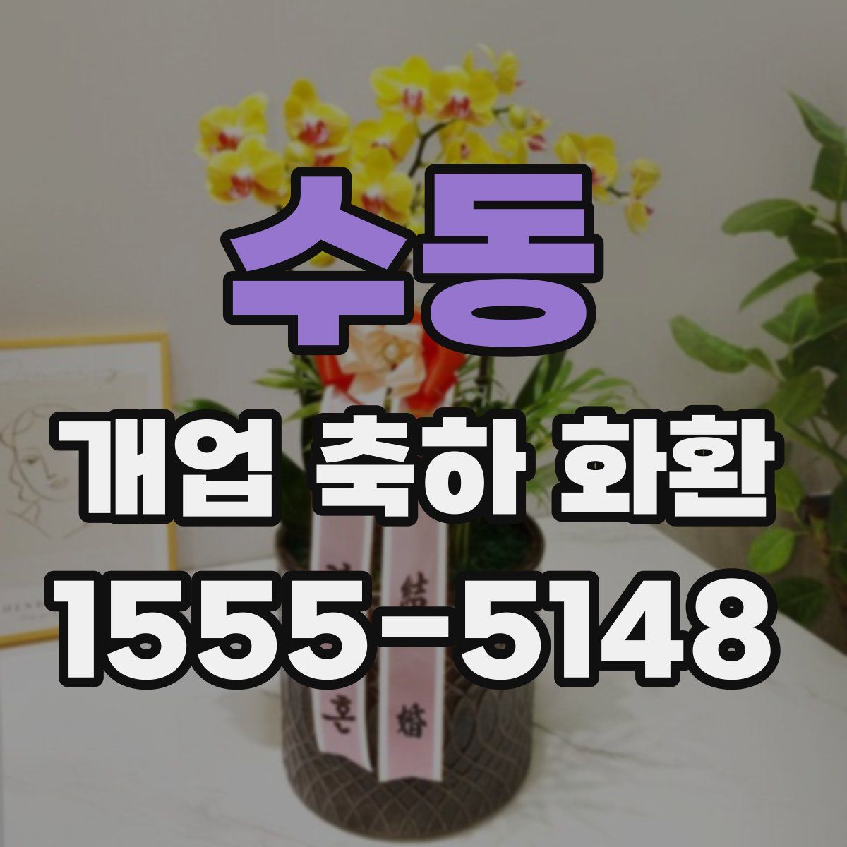 수동 개업 축하 화환