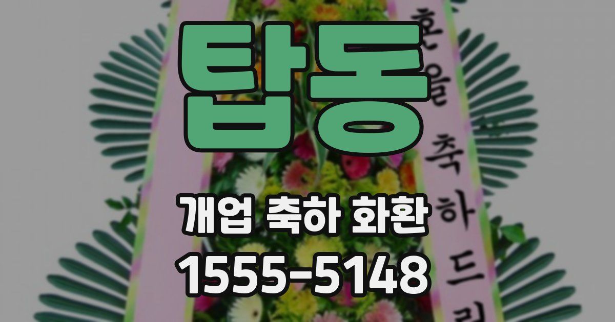 탑동 개업 축하 화환