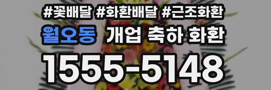 월오동 개업 축하 화환