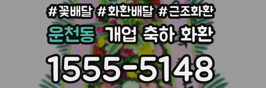 운천동 개업 축하 화환