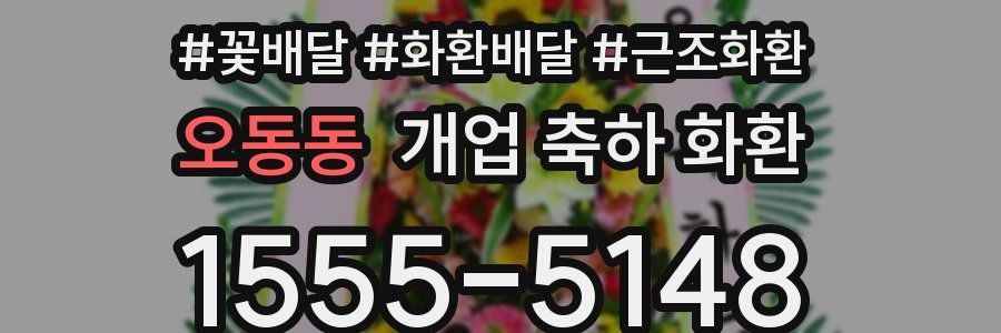 오동동 개업 축하 화환