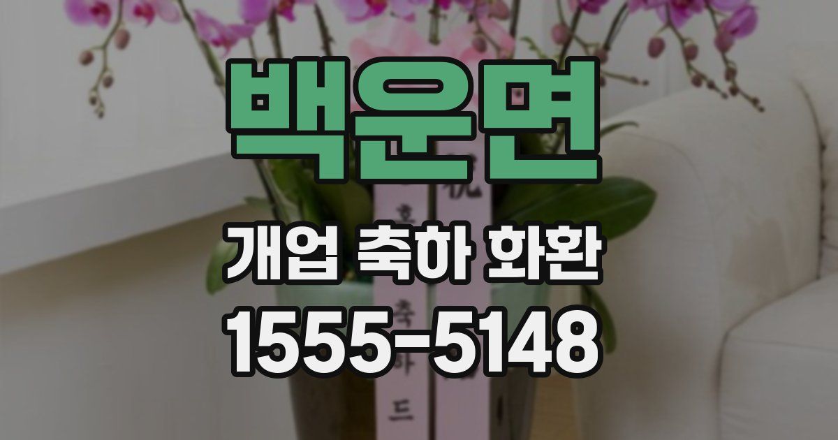 백운면 개업 축하 화환