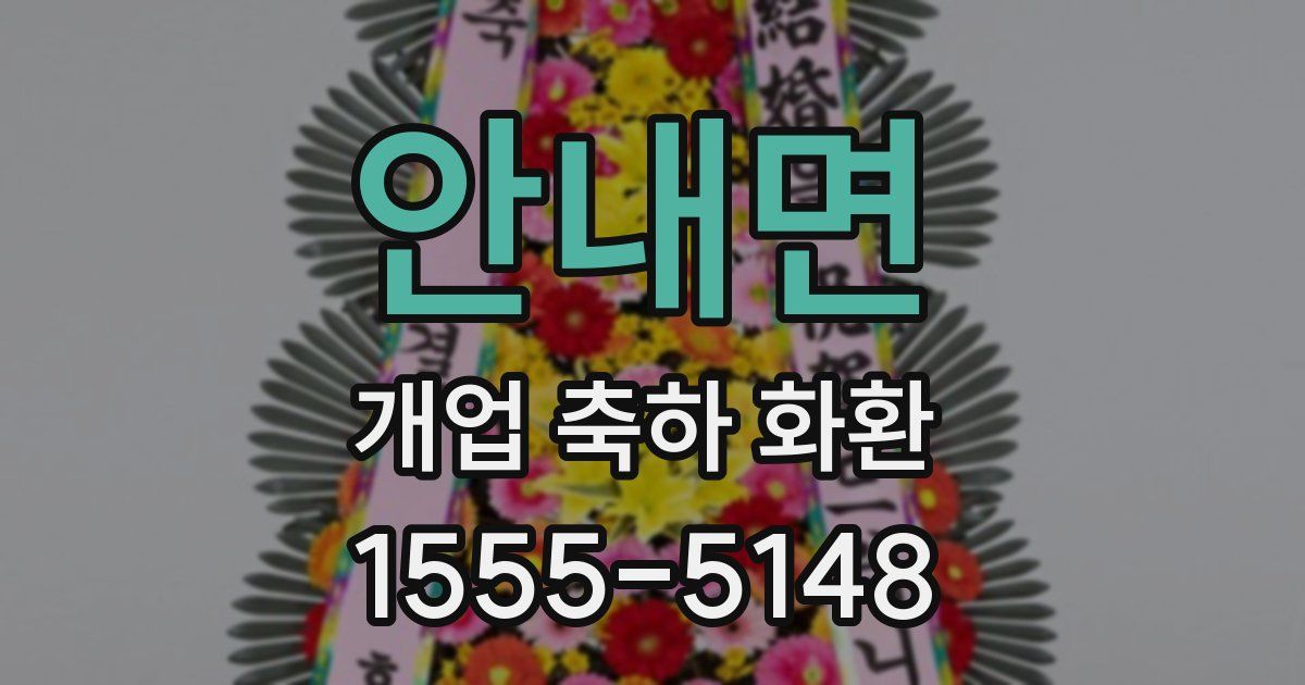안내면 개업 축하 화환