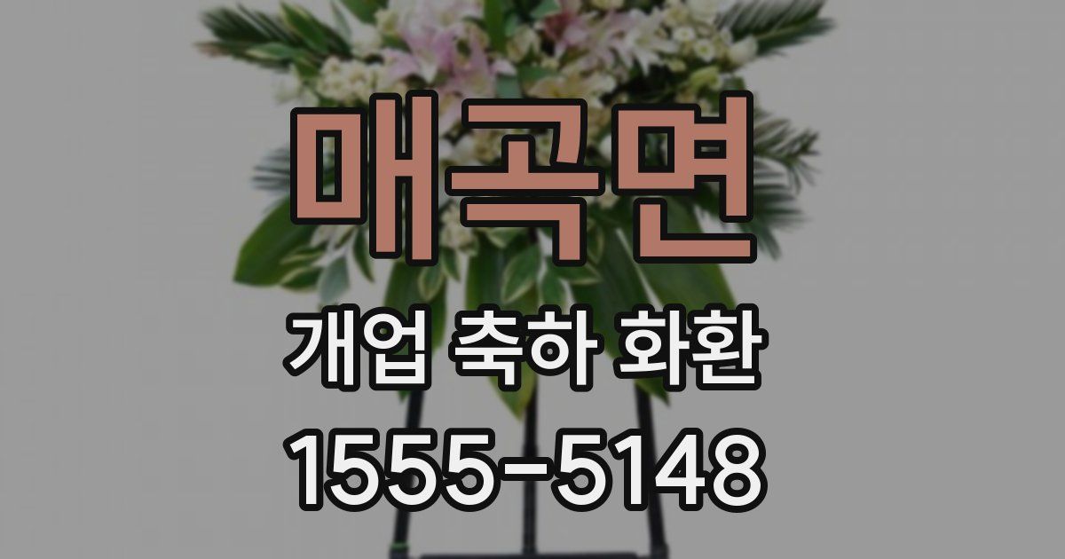 매곡면 개업 축하 화환