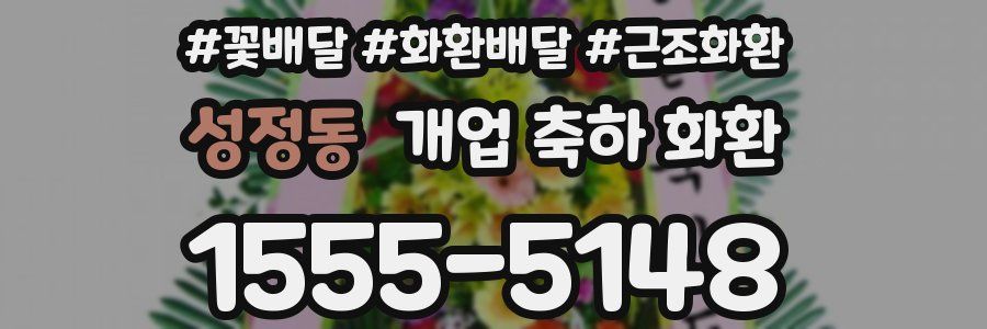 성정동 개업 축하 화환