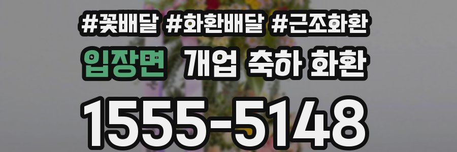 입장면 개업 축하 화환