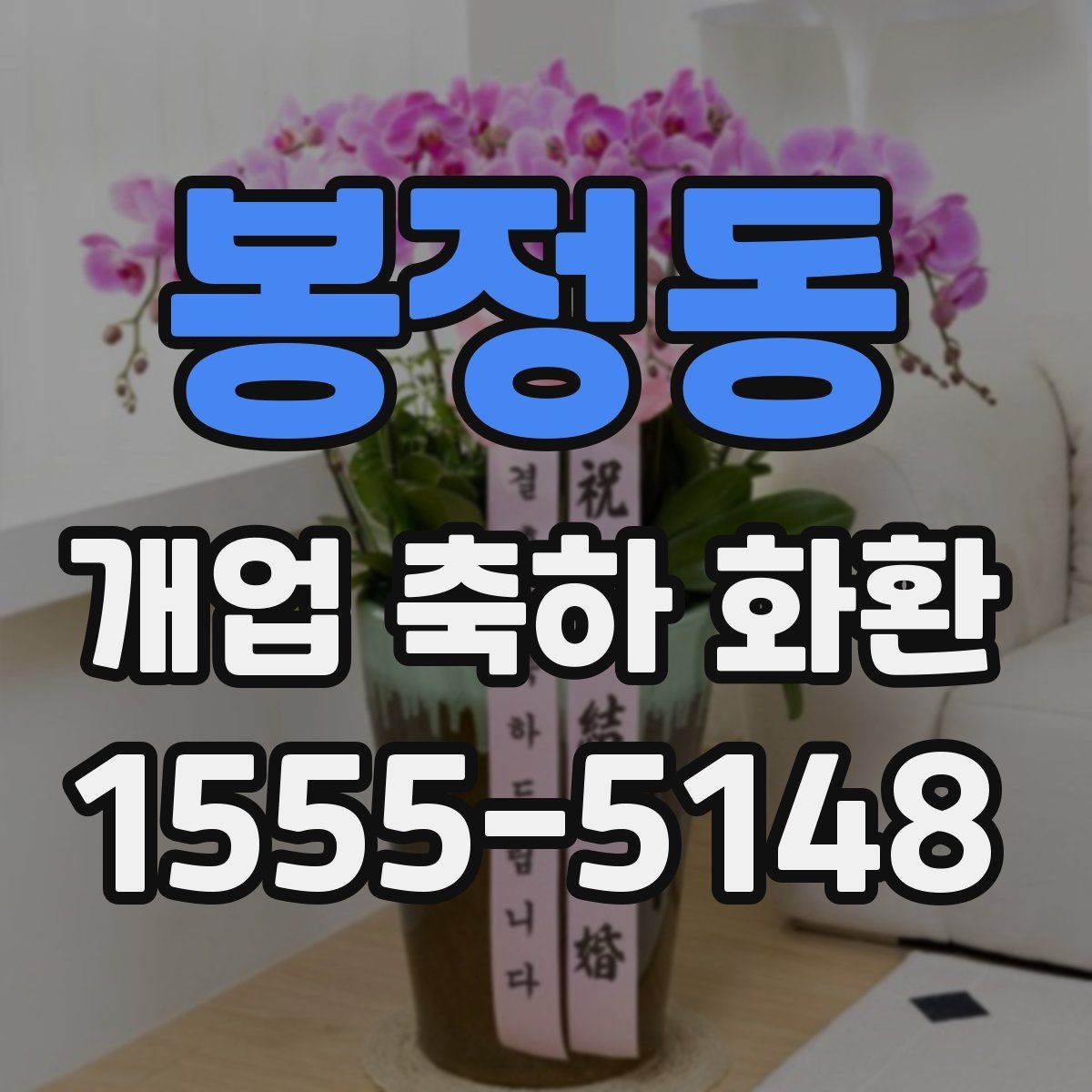 봉정동 개업 축하 화환 기본형과 포인트형 차이