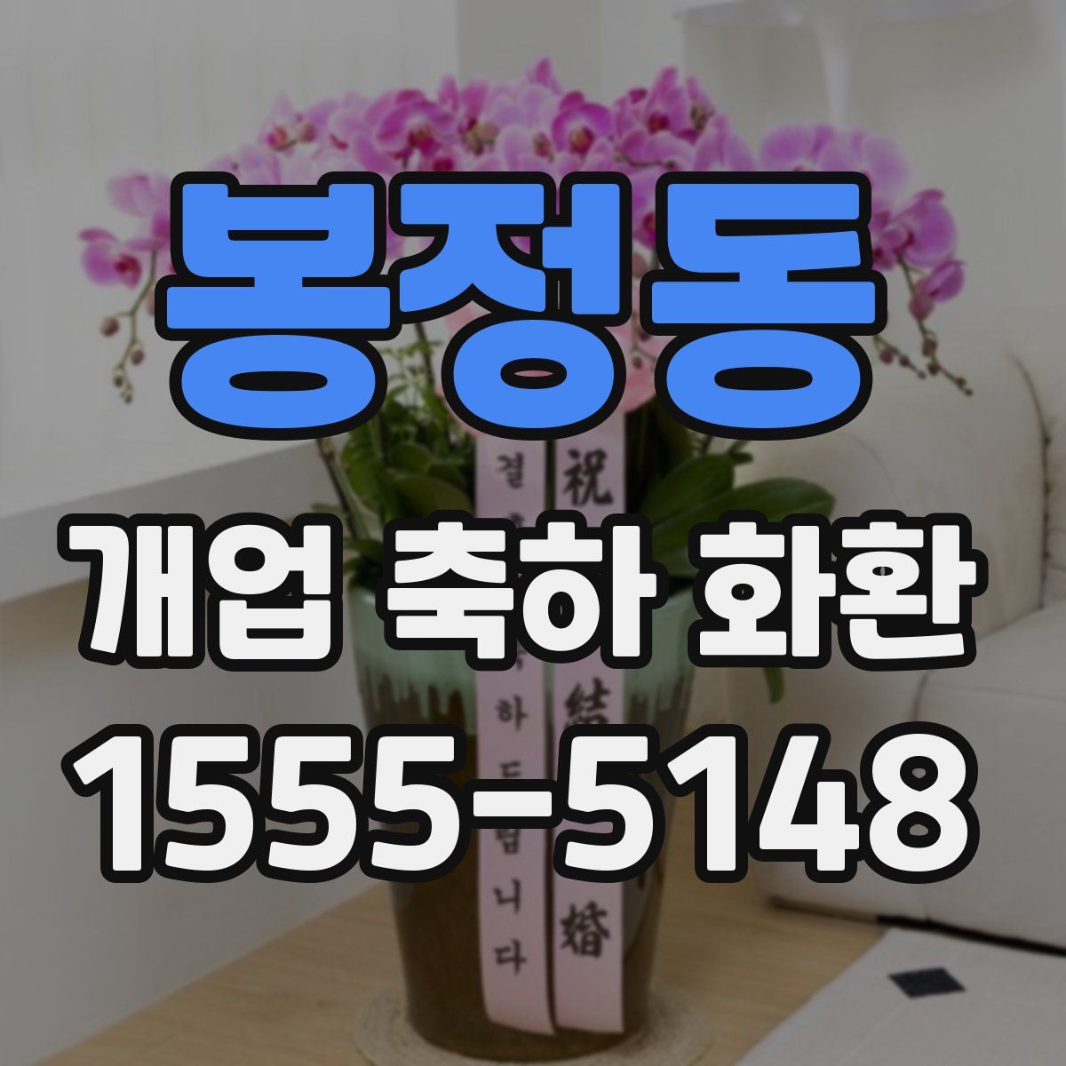 봉정동 개업 축하 화환