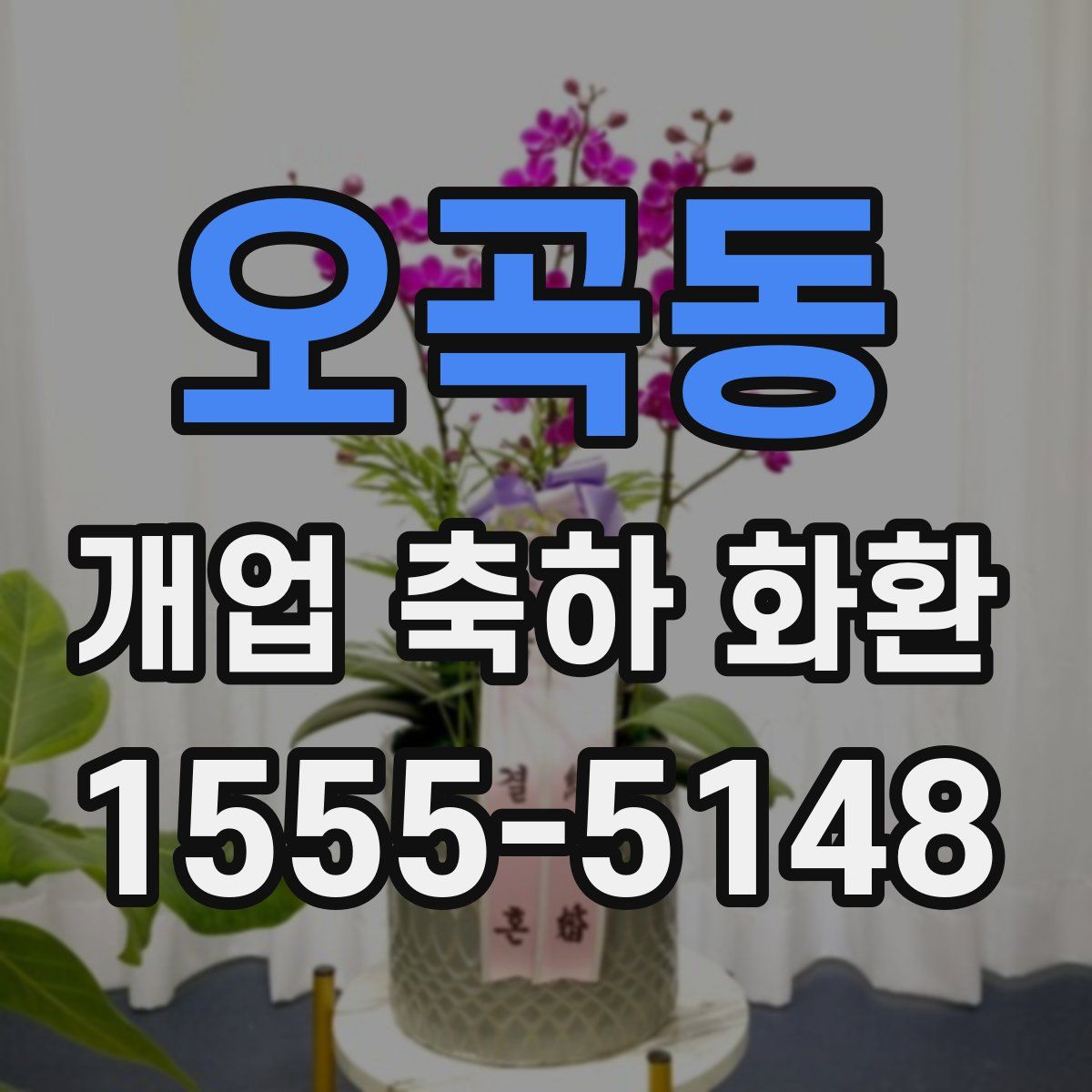 오곡동 개업 축하 화환