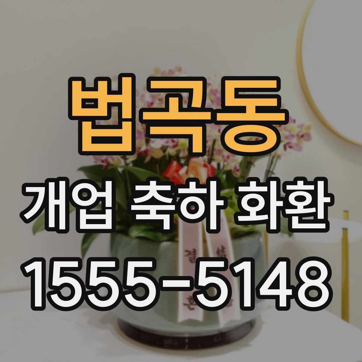 법곡동 개업 축하 화환 단골 주문 전 비교할 점