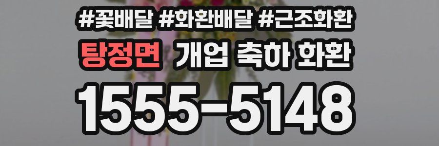 탕정면 개업 축하 화환