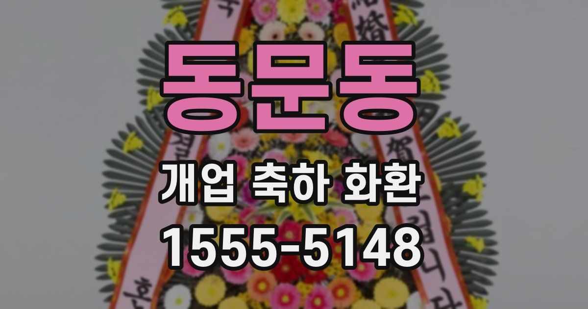동문동 개업 축하 화환