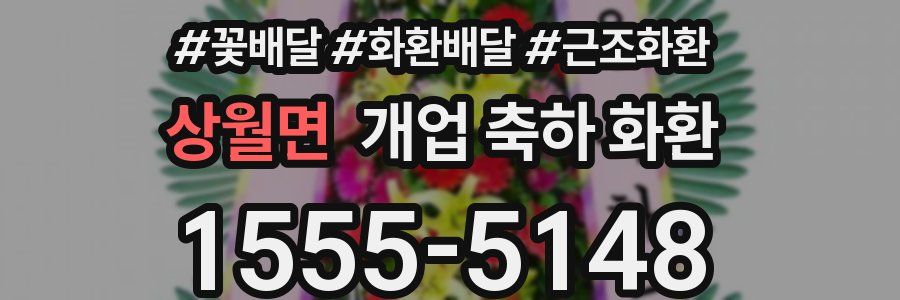 상월면 개업 축하 화환