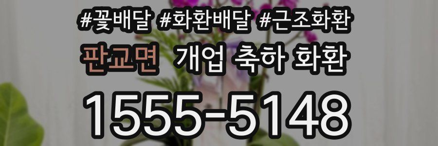 판교면 개업 축하 화환