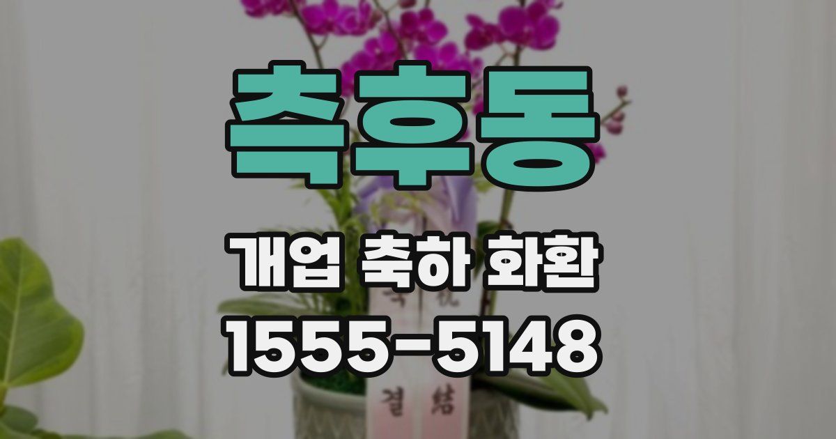 측후동 개업 축하 화환