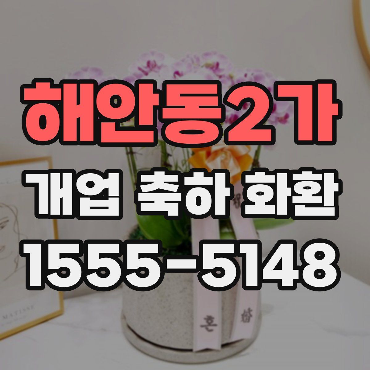 해안동2가 개업 축하 화환