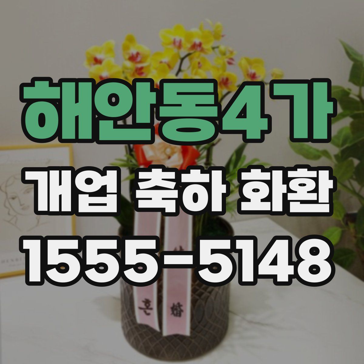 해안동4가 개업 축하 화환