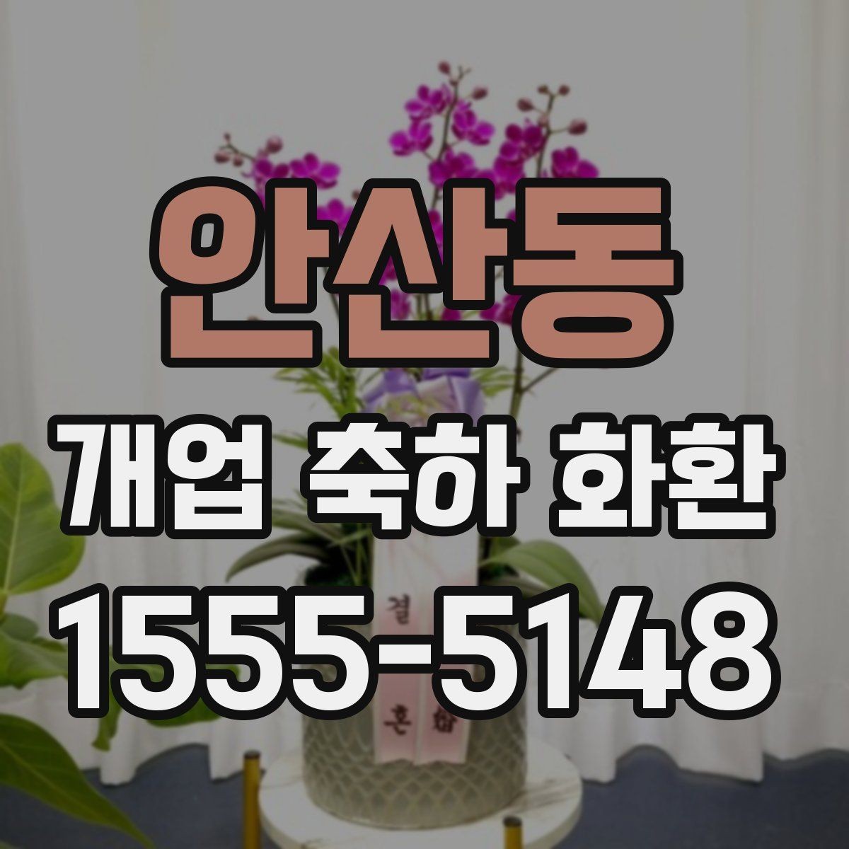 안산동 개업 축하 화환 초보자를 위한 선택 순서
