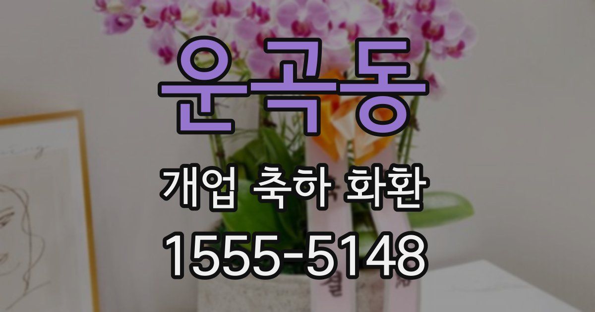 운곡동 개업 축하 화환