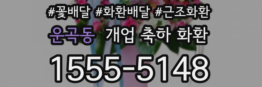 운곡동 개업 축하 화환