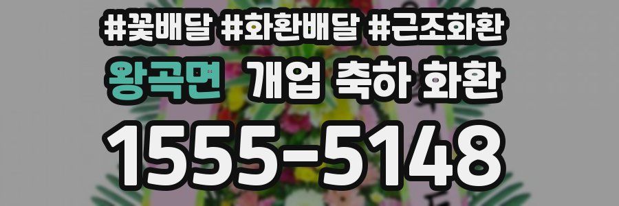 왕곡면 개업 축하 화환