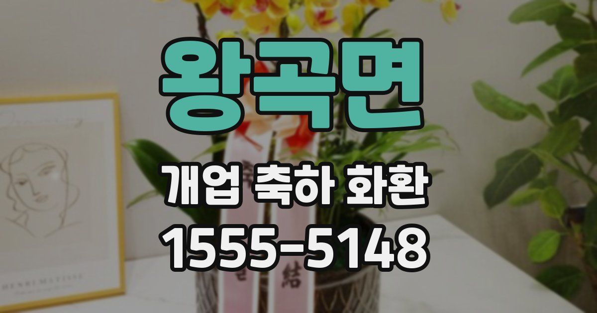 왕곡면 개업 축하 화환