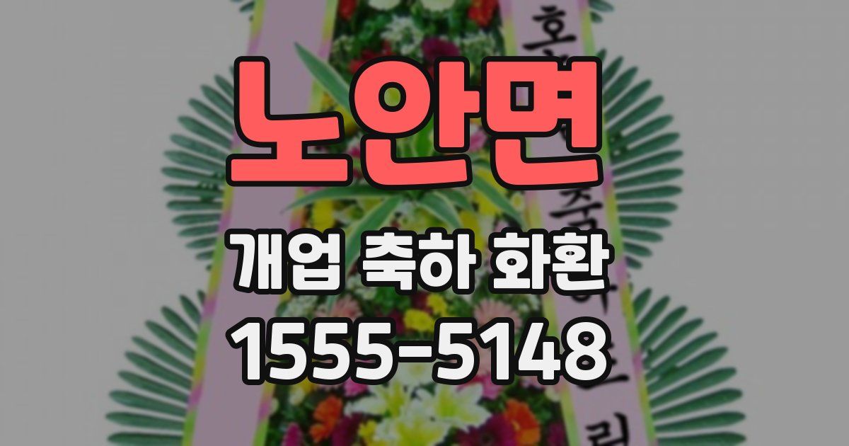 노안면 개업 축하 화환