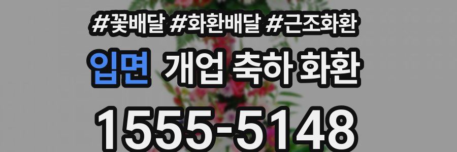입면 개업 축하 화환