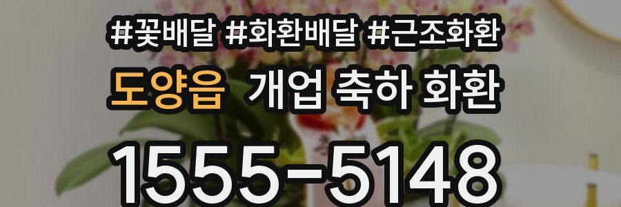 도양읍 개업 축하 화환