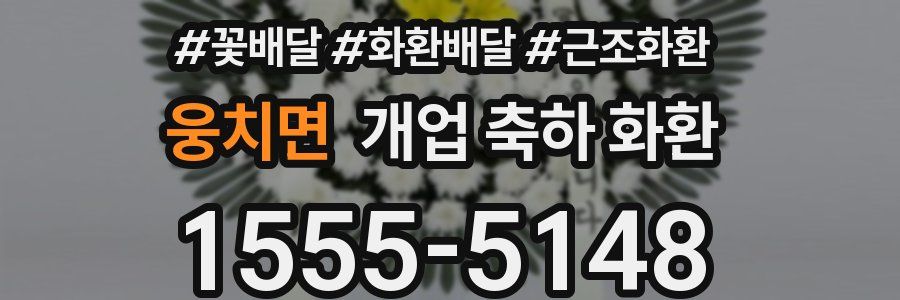 웅치면 개업 축하 화환