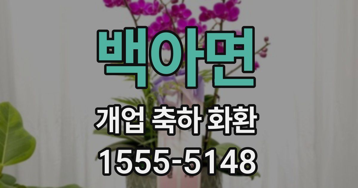 백아면 개업 축하 화환
