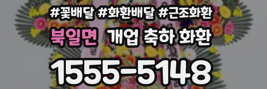 북일면 개업 축하 화환