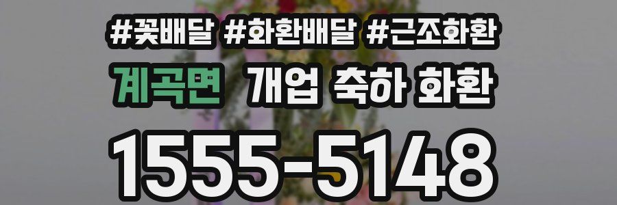계곡면 개업 축하 화환