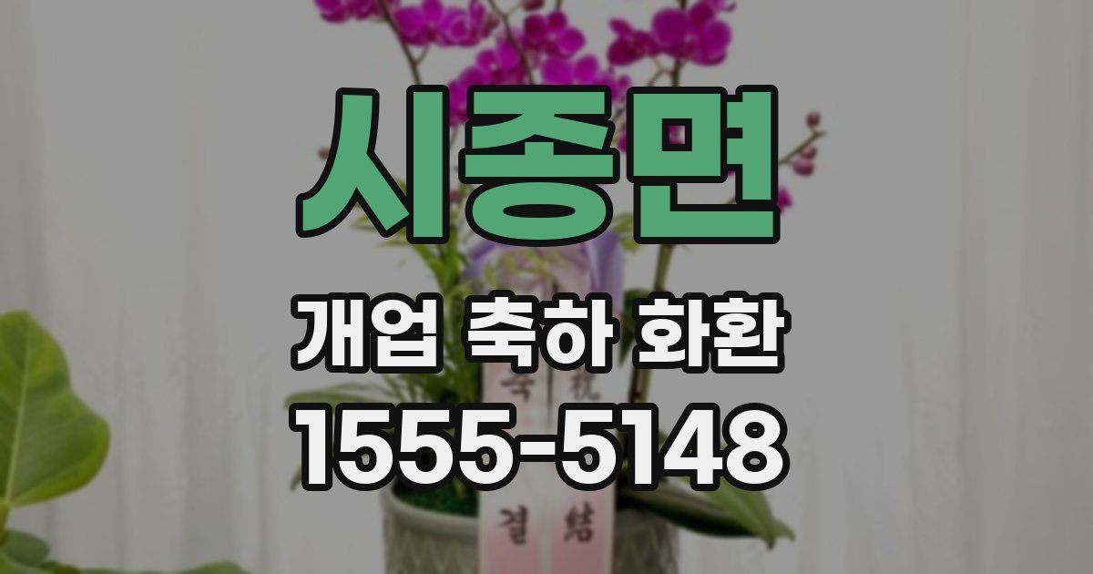 시종면 개업 축하 화환