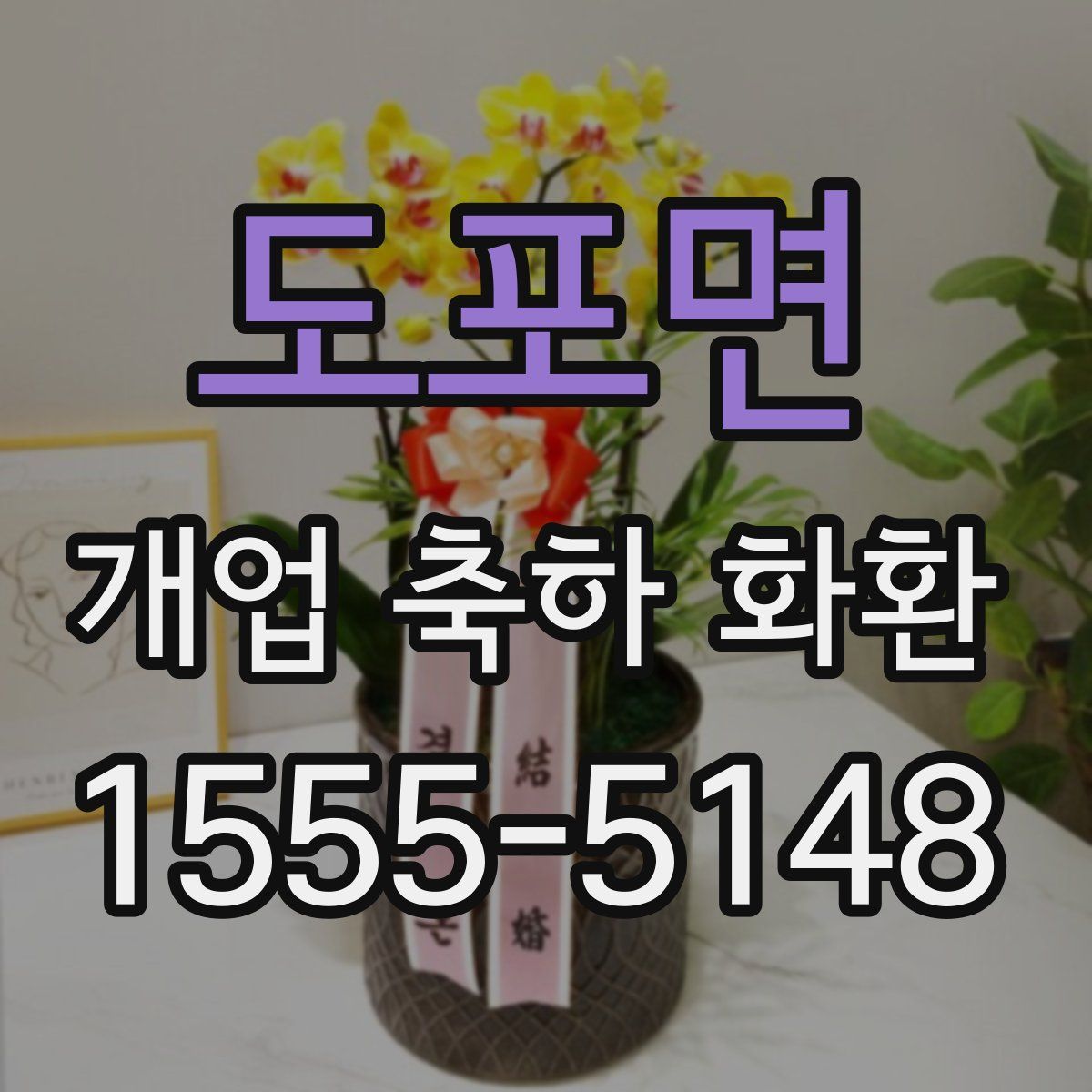 도포면 개업 축하 화환