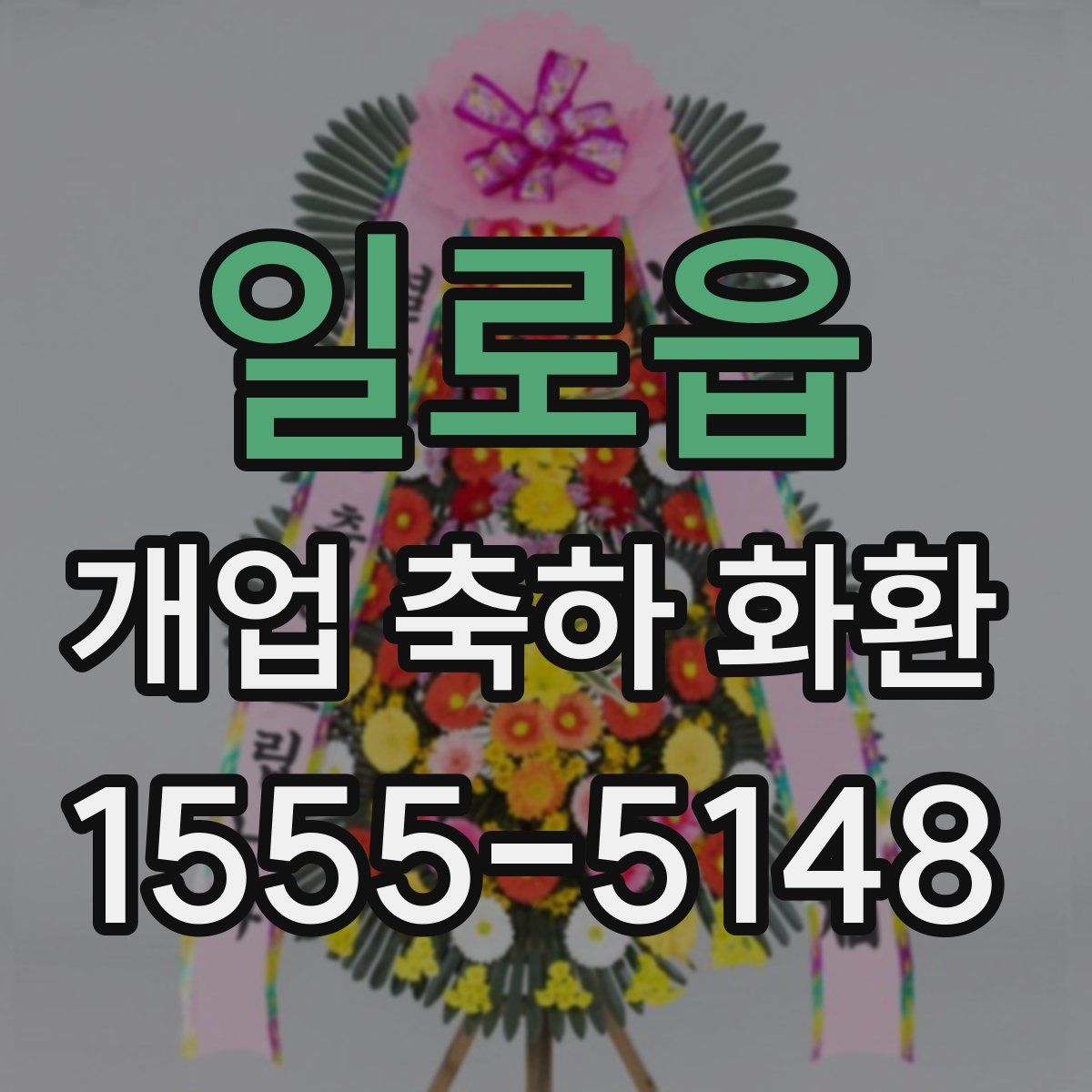 일로읍 개업 축하 화환