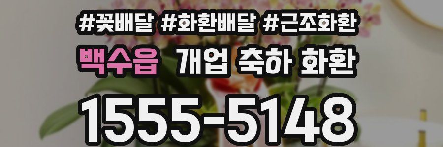 백수읍 개업 축하 화환