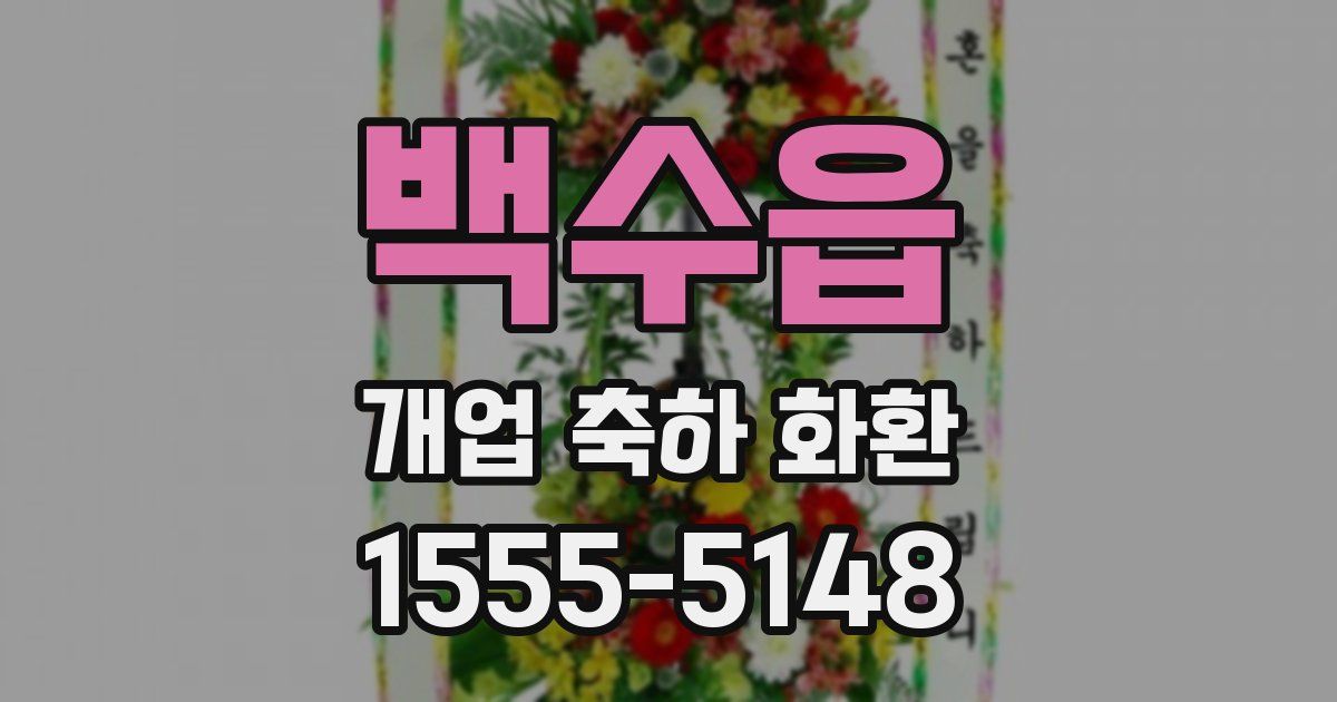 백수읍 개업 축하 화환