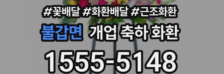 불갑면 개업 축하 화환