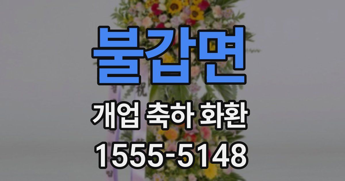 불갑면 개업 축하 화환