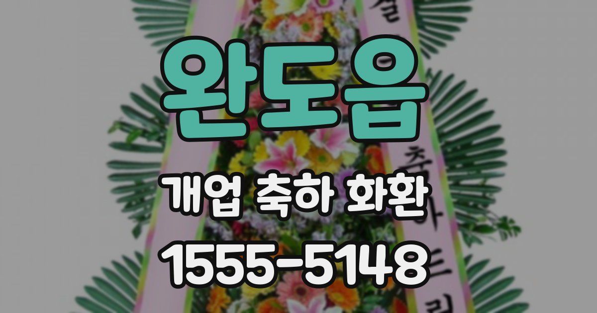 완도읍 개업 축하 화환