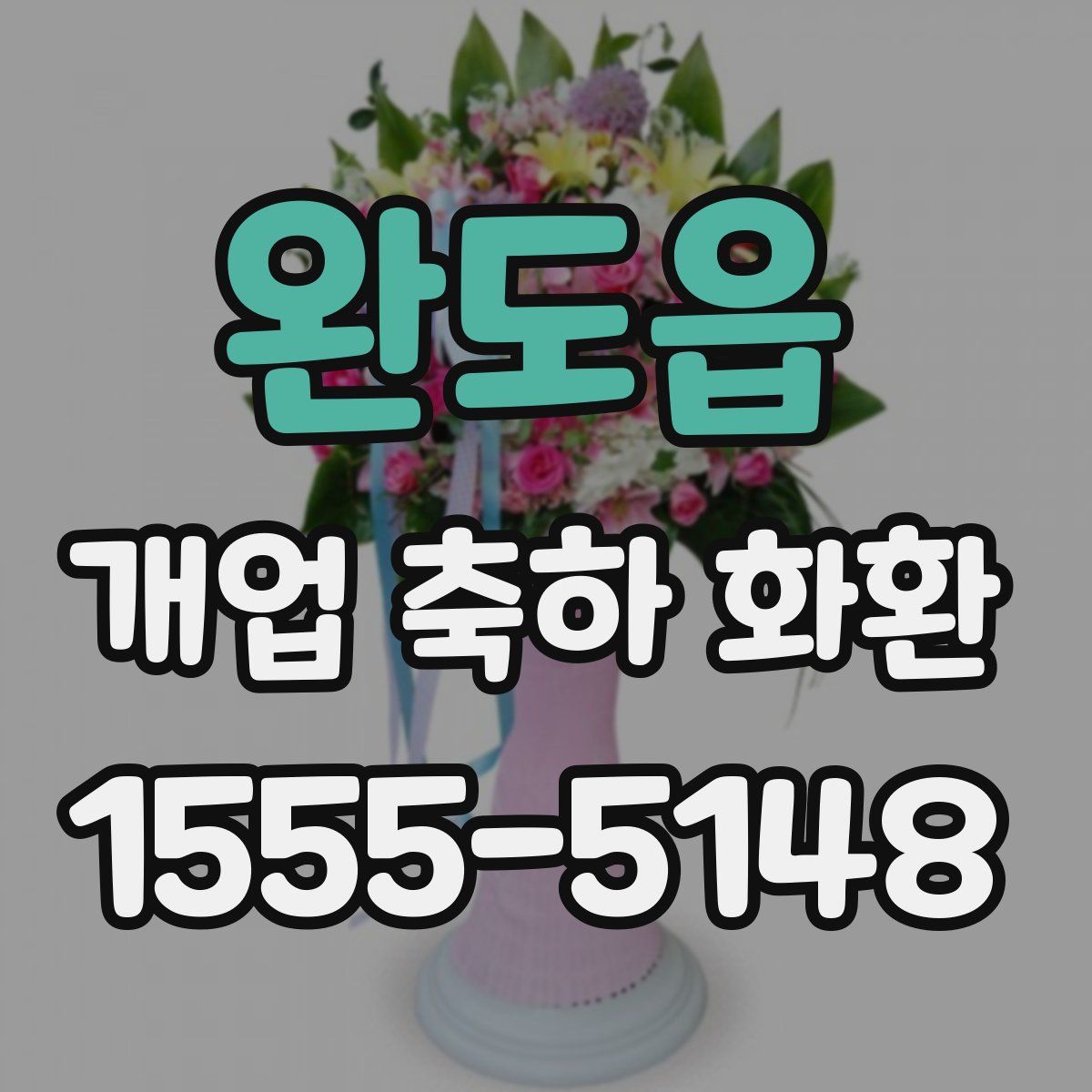 완도읍 개업 축하 화환