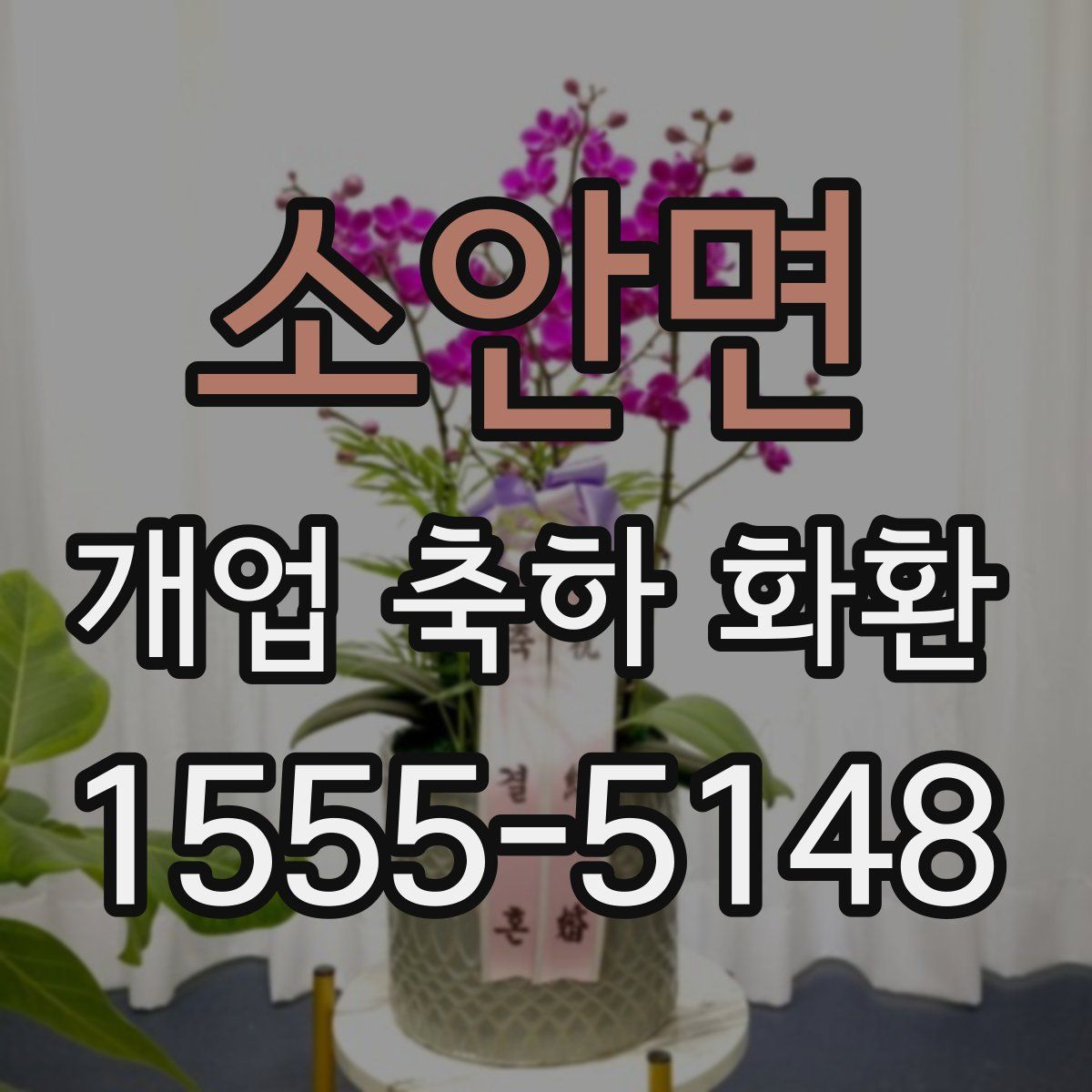 소안면 개업 축하 화환