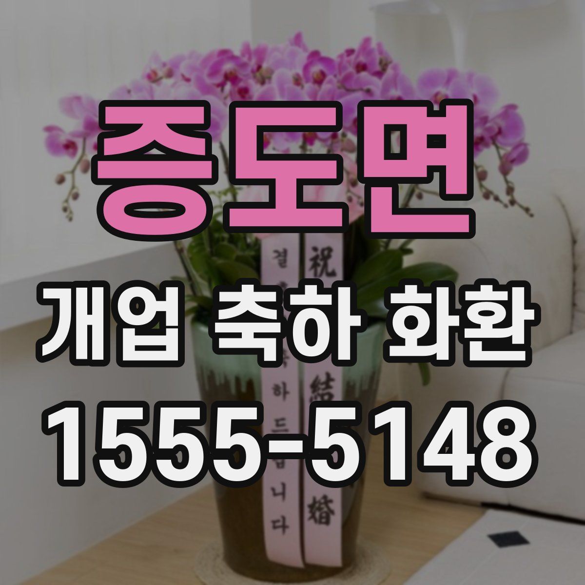 증도면 개업 축하 화환